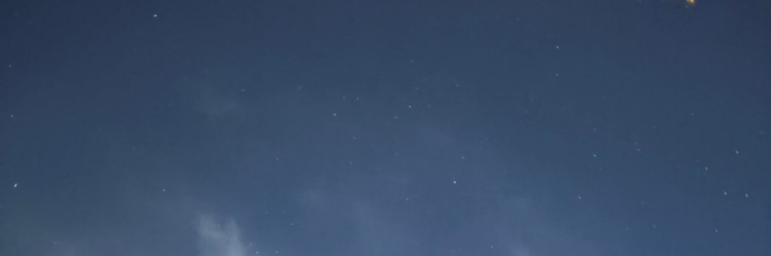 S banner
