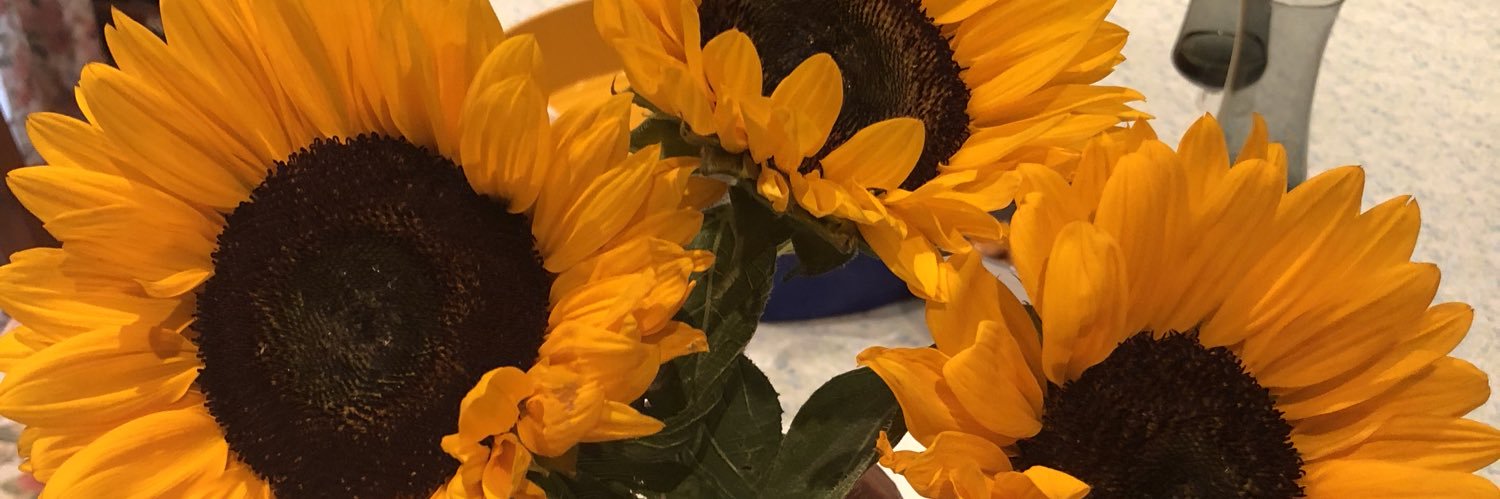 aschiaffino's profile banner image
