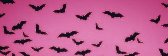 saltcanbsweet's profile banner image