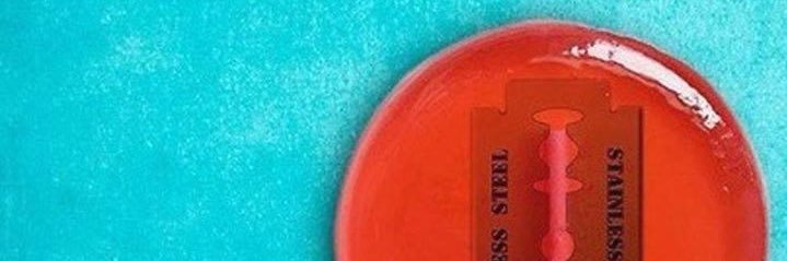 ᕲᕮᐺIᒪᖴΔᑎᘜֆ banner