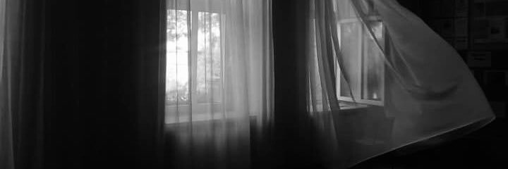 truedishaa's profile banner image