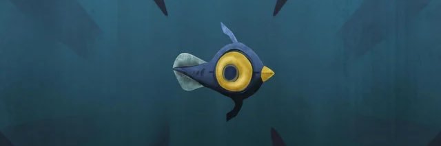Peeper banner