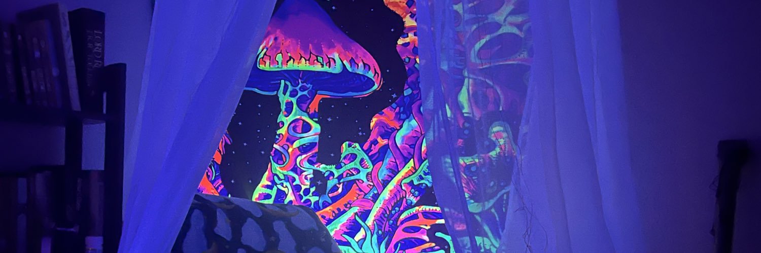 ElWampa's profile banner image