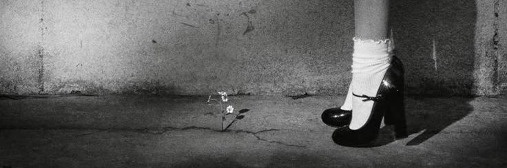 alex ꕤ banner