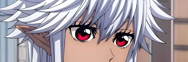 Kira banner