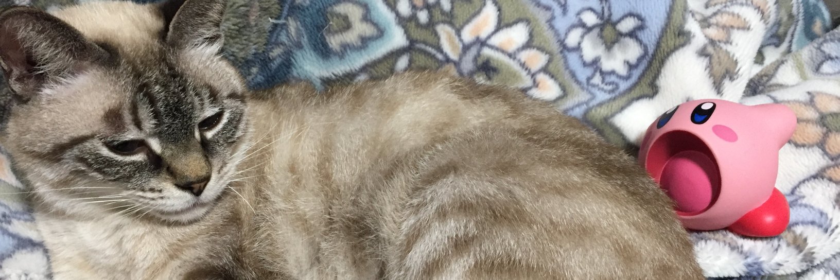 DESIGN@GOフェス6/1午前 banner