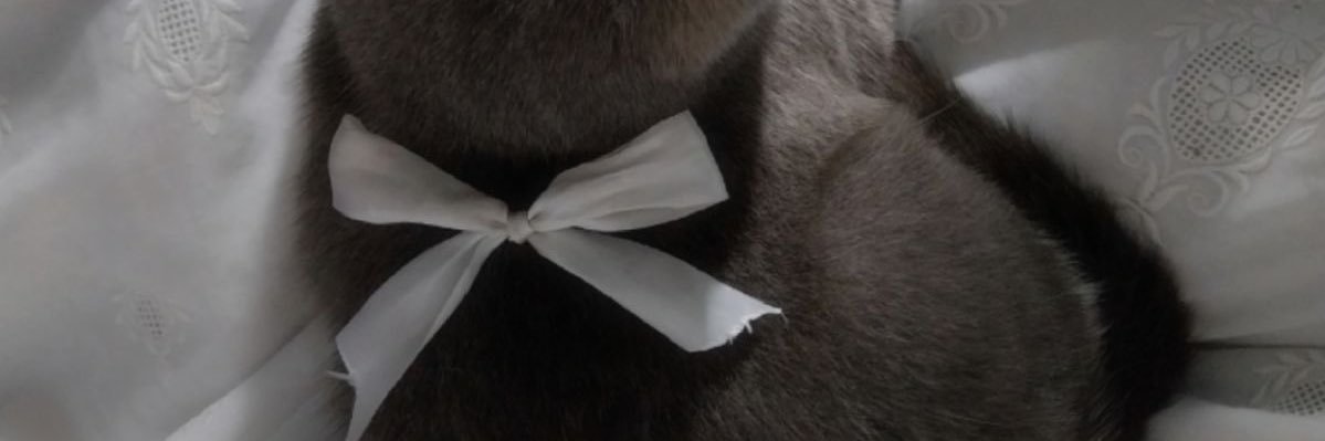 ˙⋆✮ banner
