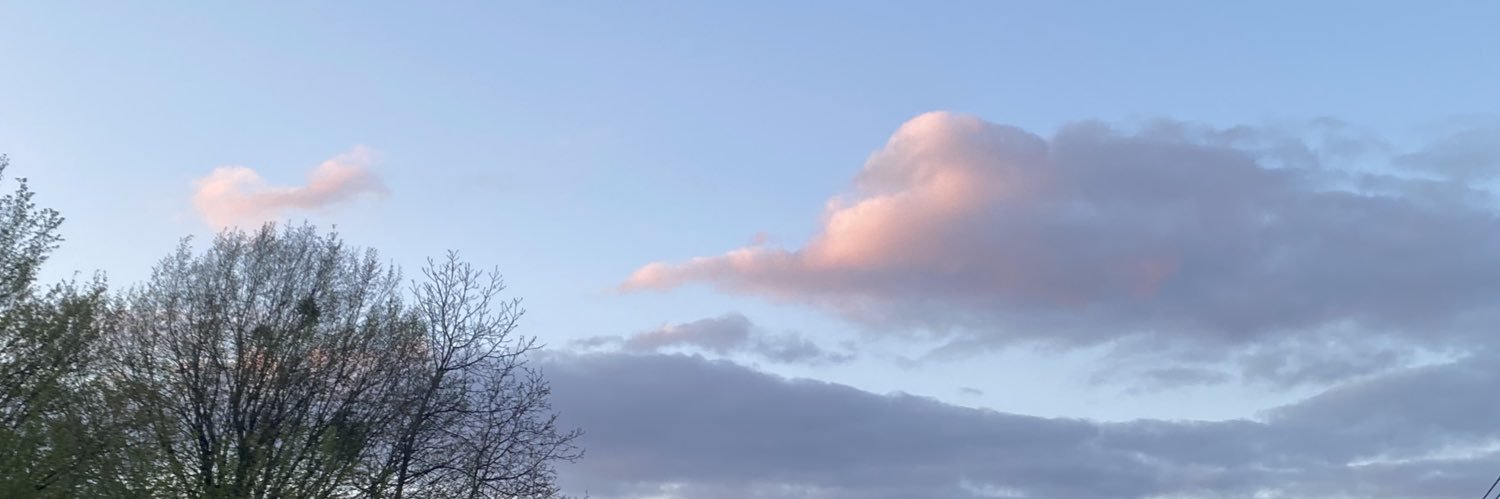 liarysy's profile banner image