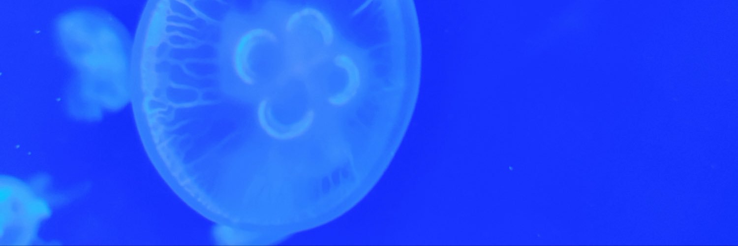 Limiyone7's profile banner image