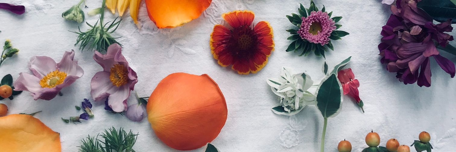 Christina Skouloudi banner