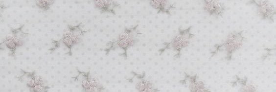 urfavbunnyboy's profile banner image
