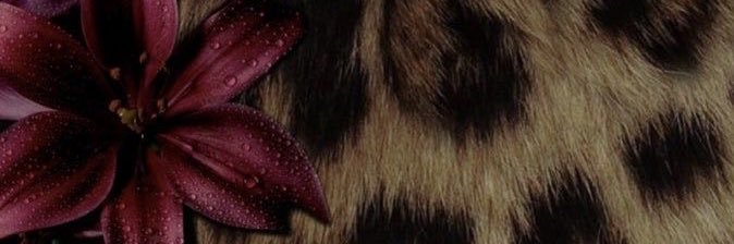 cel 🖤 banner