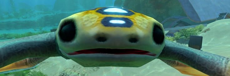 Hoverfish banner