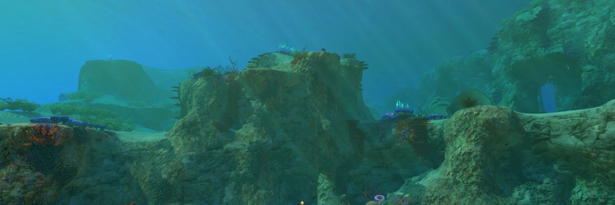 Bladderfish banner