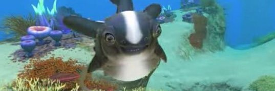 Cuddlefish banner
