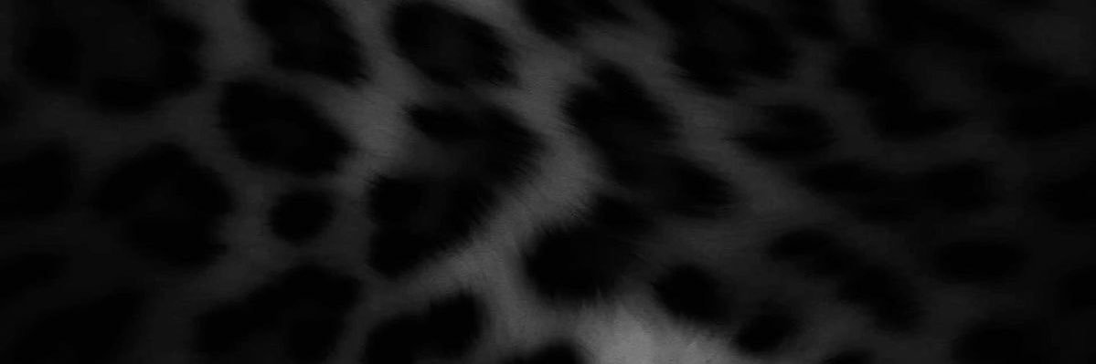 Ray🩶 banner