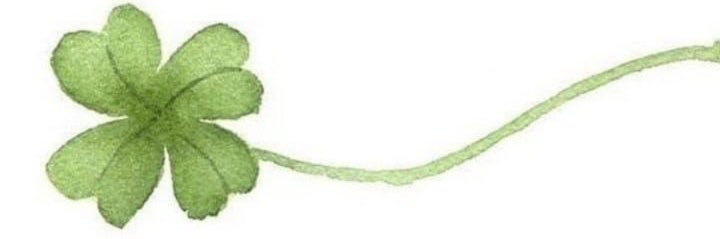 willow b banner
