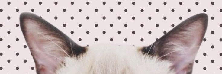 fray 🪷🍀 ²⁹ banner