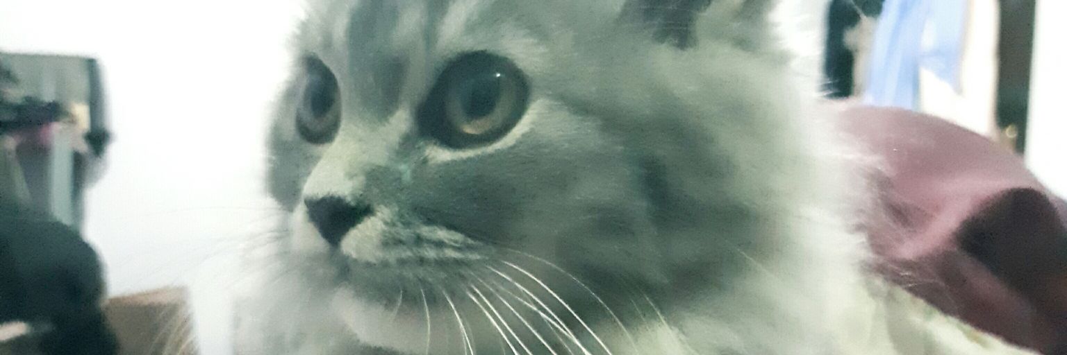 Ovack79's profile banner image