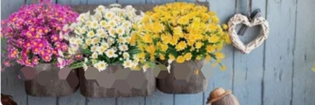WELL_dainosuke's profile banner image