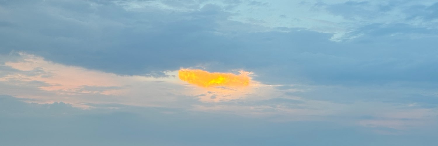 Emonvky's profile banner image