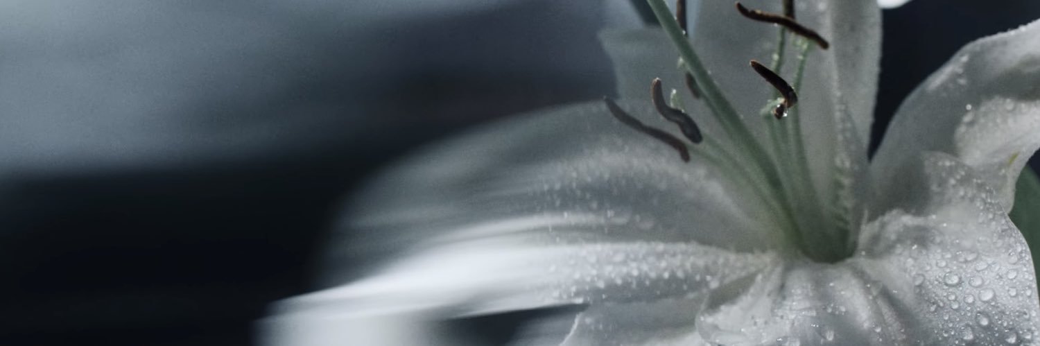 ⋆. 𐙚˚࿔ 𝑩𝑨𝑩𝑬 𝜗𝜚˚⋆ banner