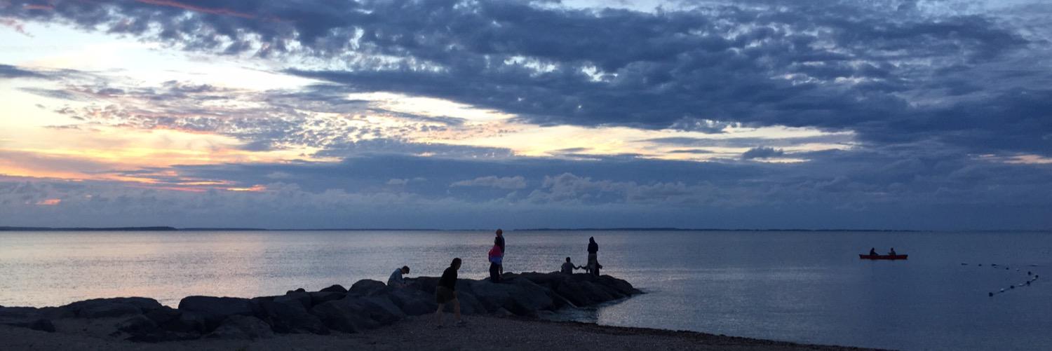 Chris Spadaccini banner