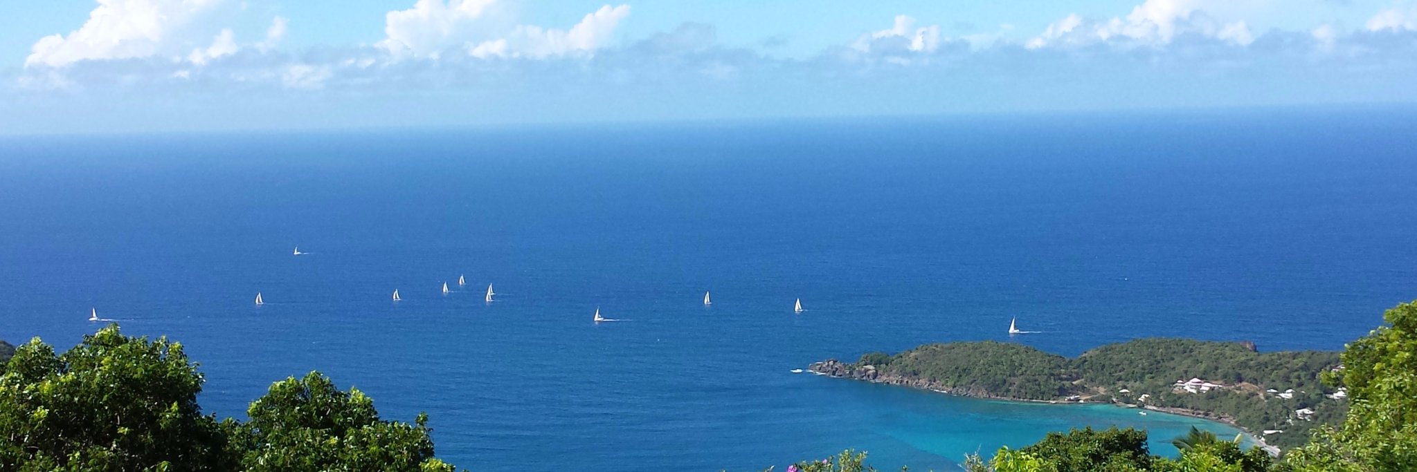 Debbie Clasen banner