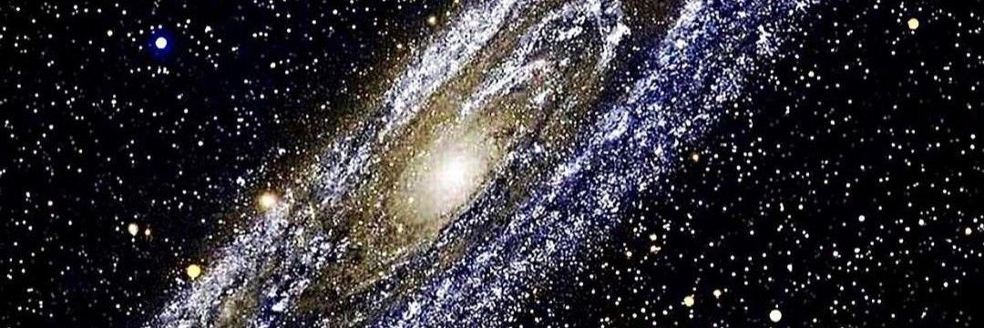 David Baquerizo banner