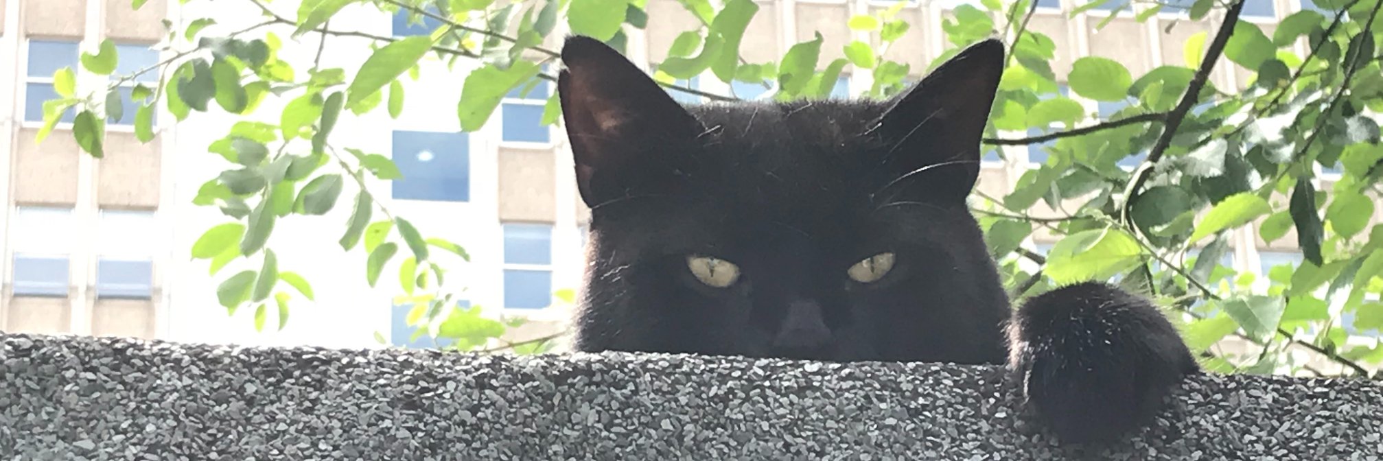 SomersetChris (same name on blue sky) banner