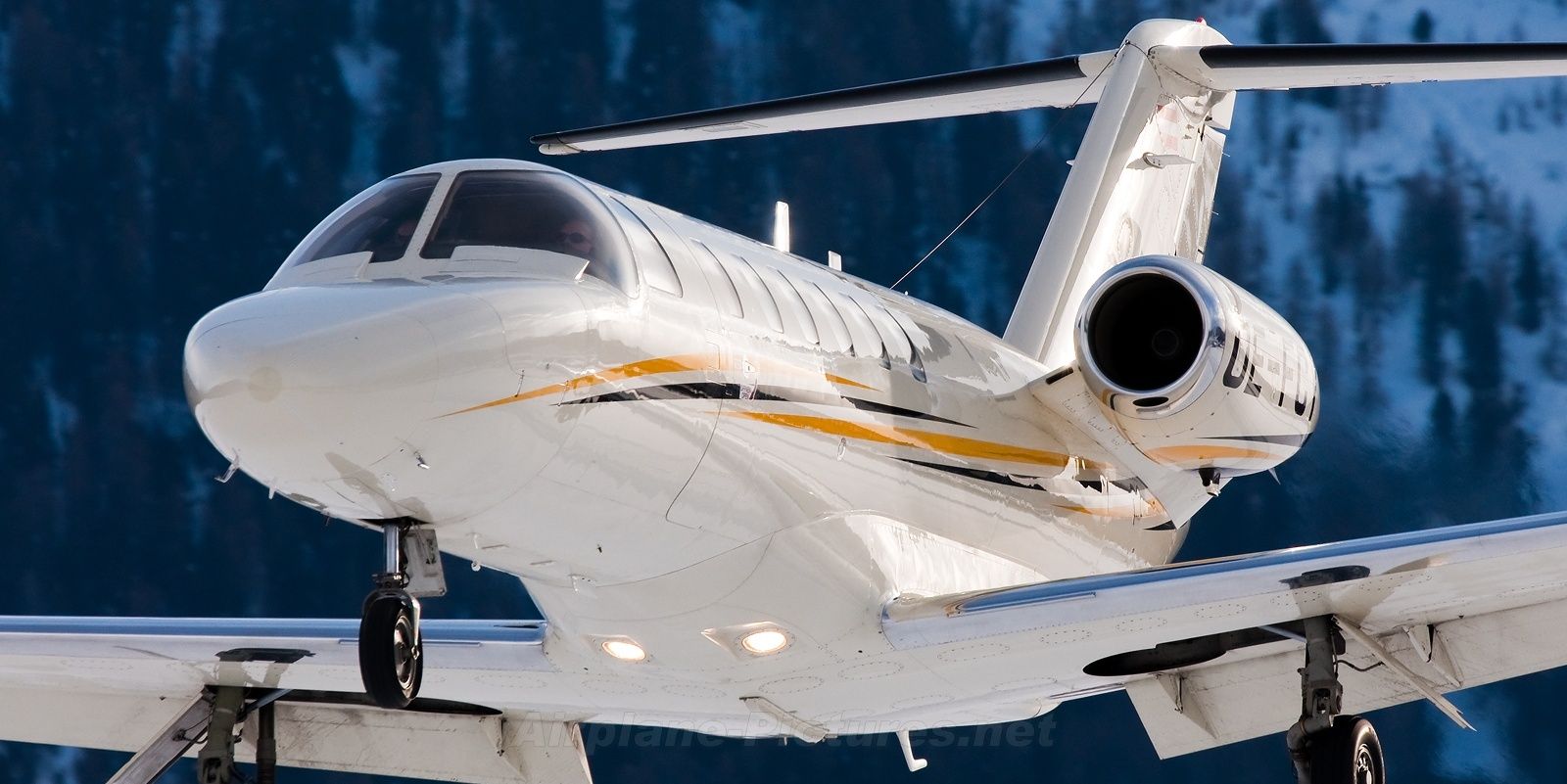 low_pass's profile banner image