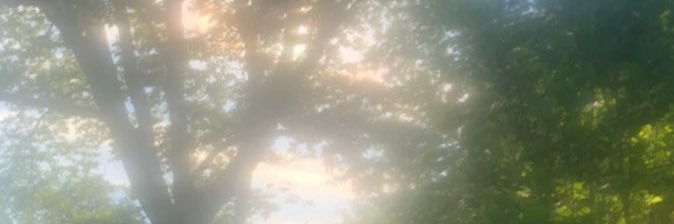 nnj4e's profile banner image