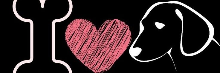 JKSenpai_00's profile banner image