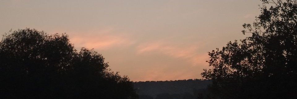 J. banner