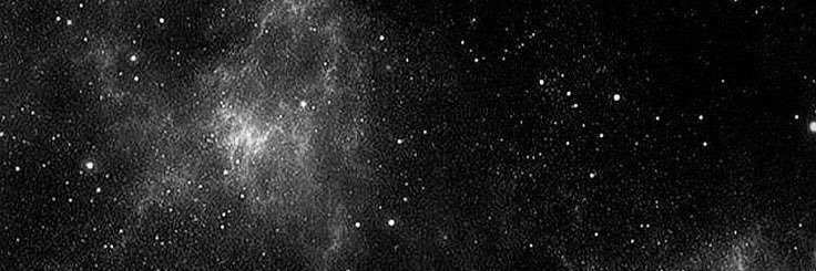 Alphx Elite banner