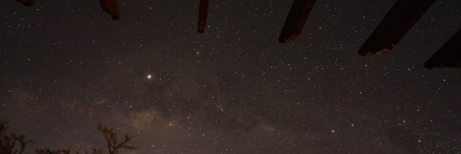 Chigs 🇵🇸 banner