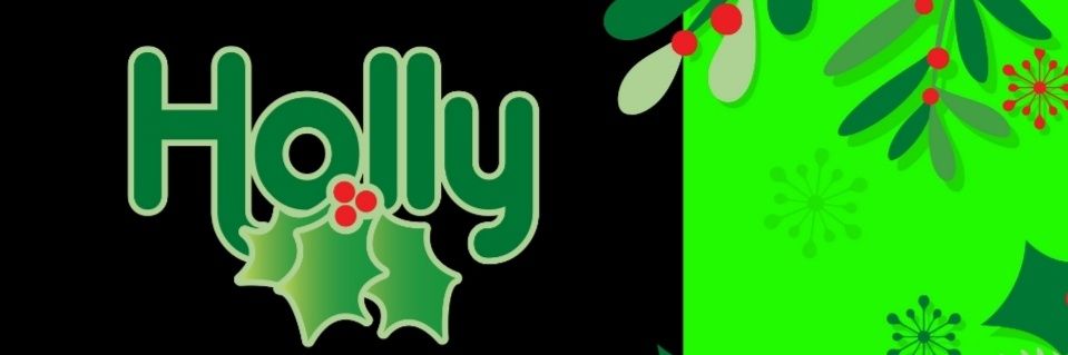 Holly Malek Bryk banner