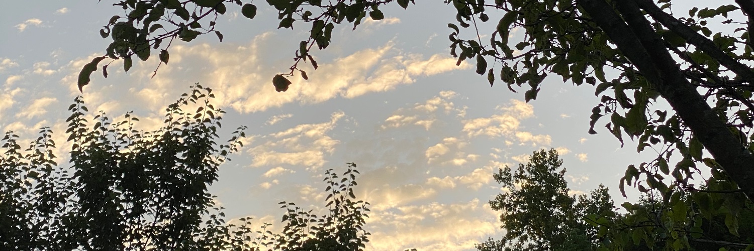 Nickhex30's profile banner image