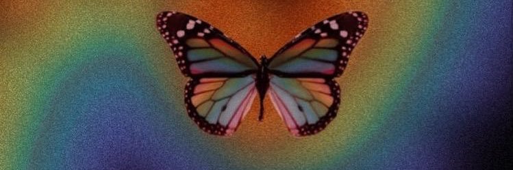 _wanakim's profile banner image