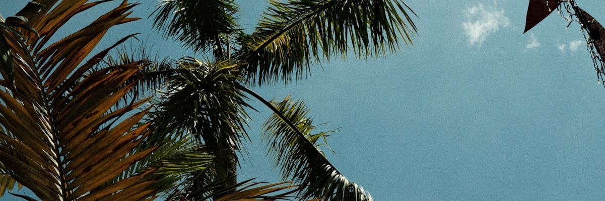 ✧˚.🎀⋆ banner
