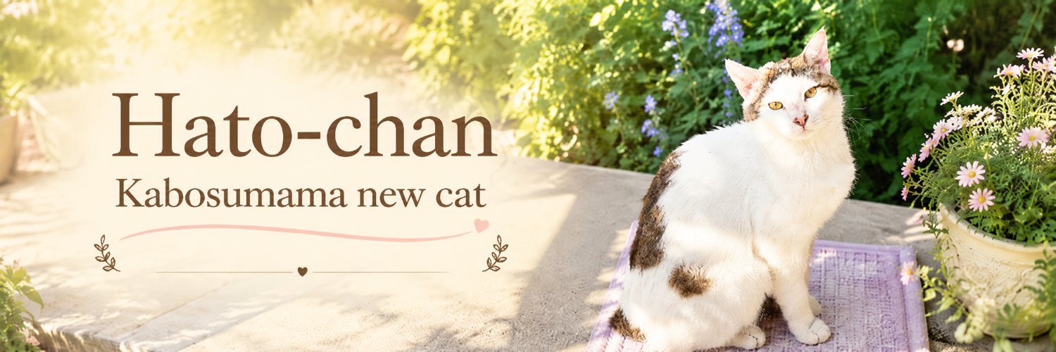 hatochaneth's profile banner image