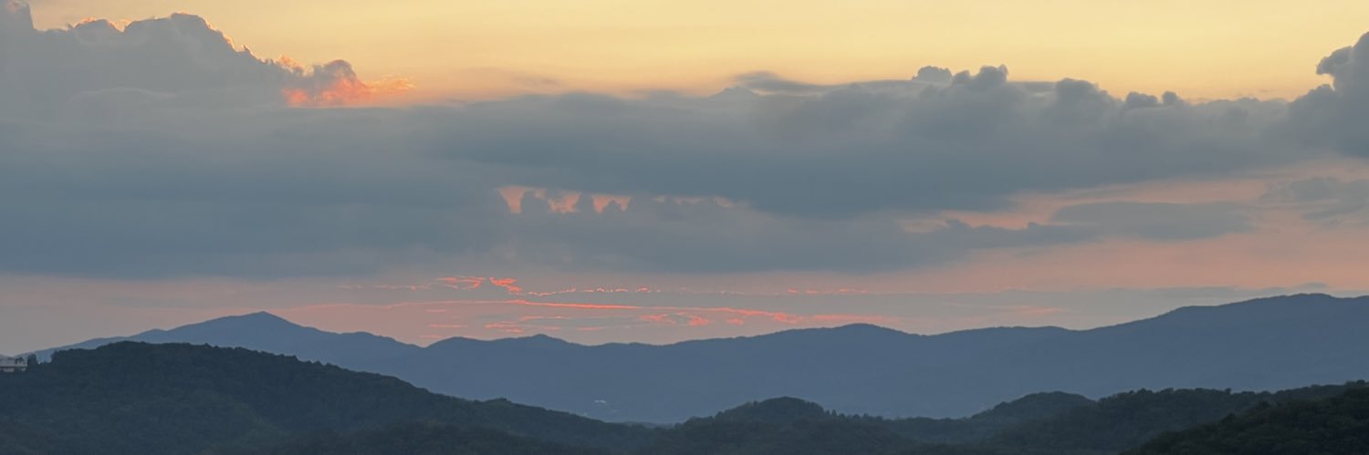 Amanda Parrish banner