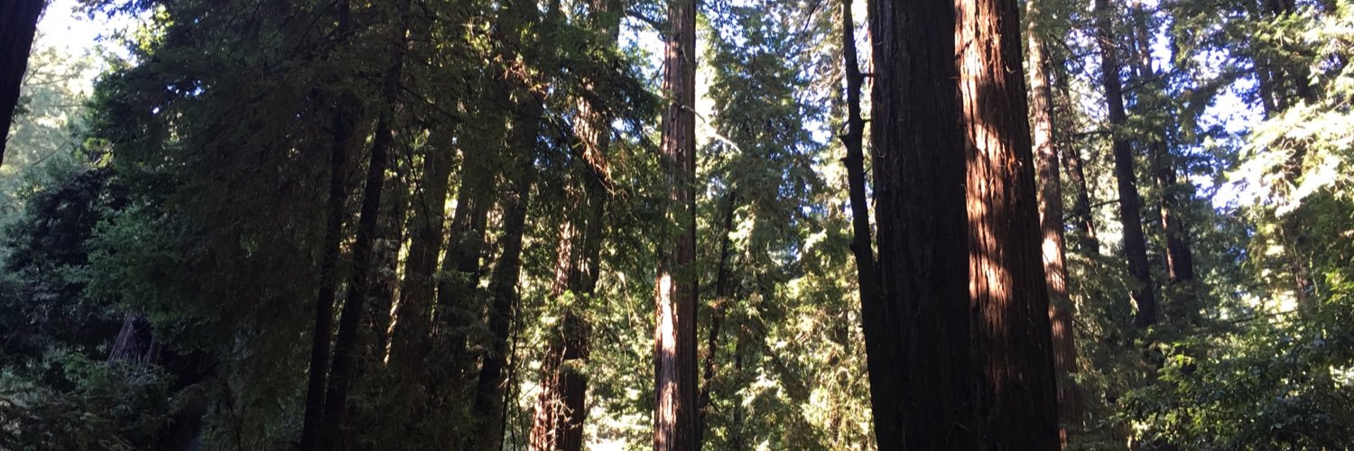 justinsha's profile banner image