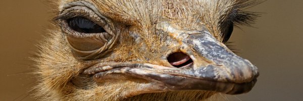 HeatDesignGroup Profile Banner