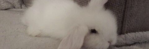 ttinycunt's profile banner image