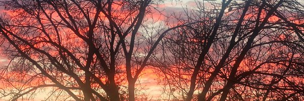 profpisarski Profile Banner