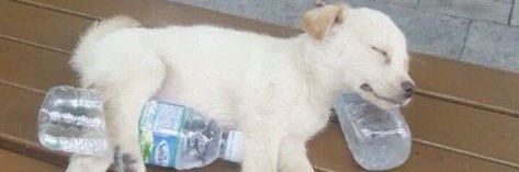 mizuiiiro's profile banner image