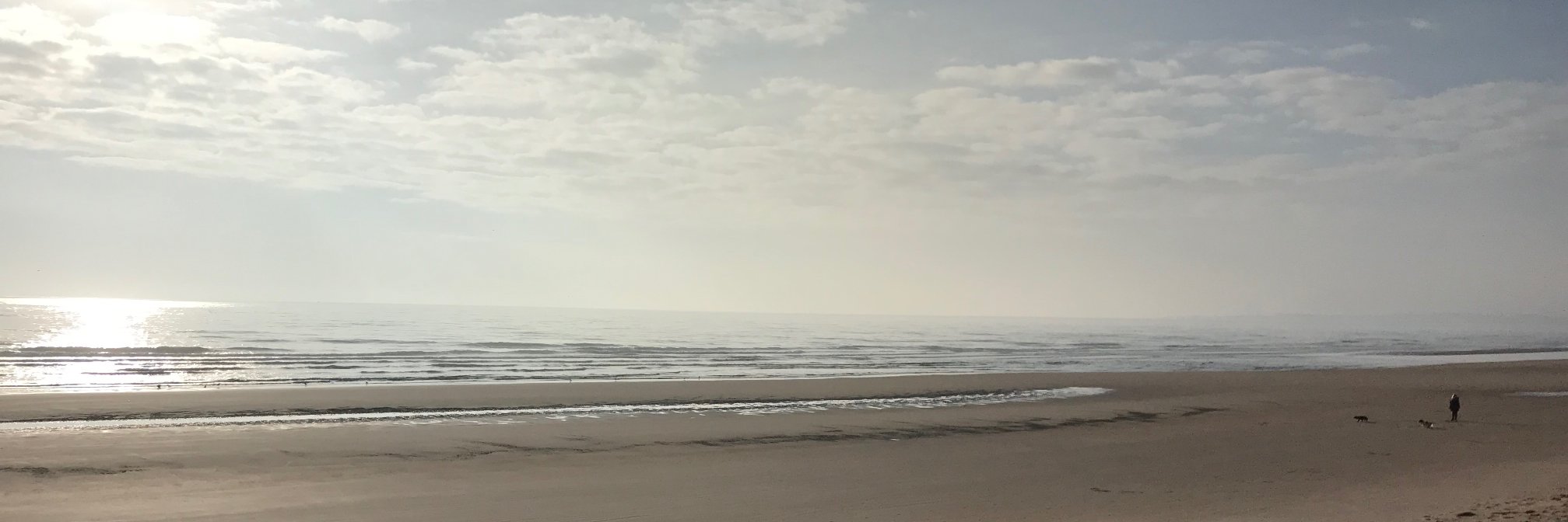 Andrew Ballinger banner