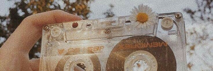 cyntkrmn's profile banner image
