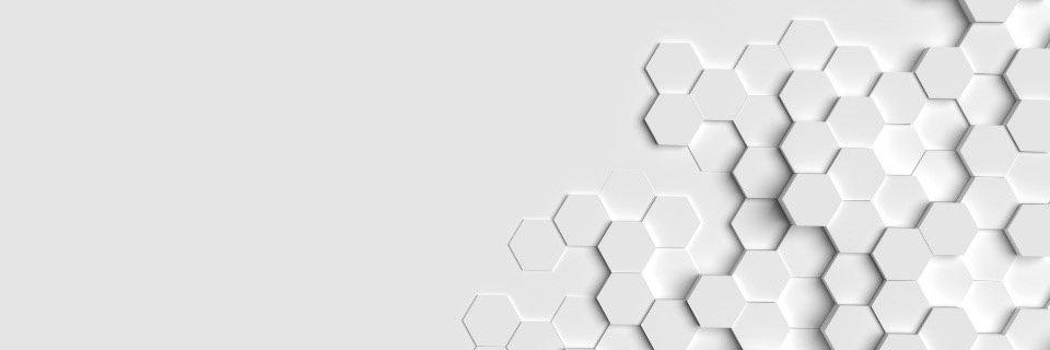 openmodelweight's profile banner image